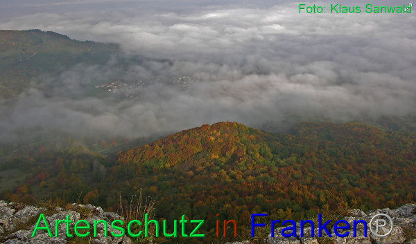 Copyright AiF - Klaus Sanwald Bild zum Eintrag (90240-160)