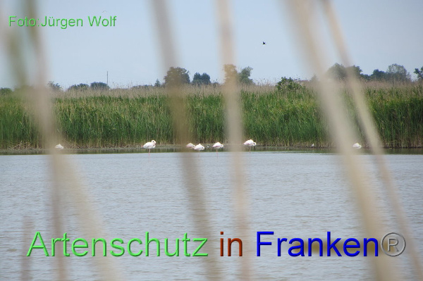 Copyright AiF Jürgen Wolf Bild zum Eintrag (91900-160)