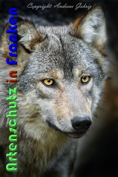 Copyright AiF Andreas Gehrig Bild zum Eintrag (94803-160)
