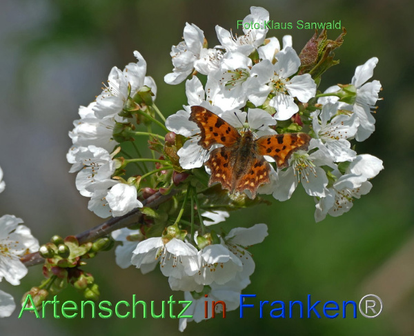 Copyright AiF - Klaus Sanwald Bild zum Eintrag (96450-160)