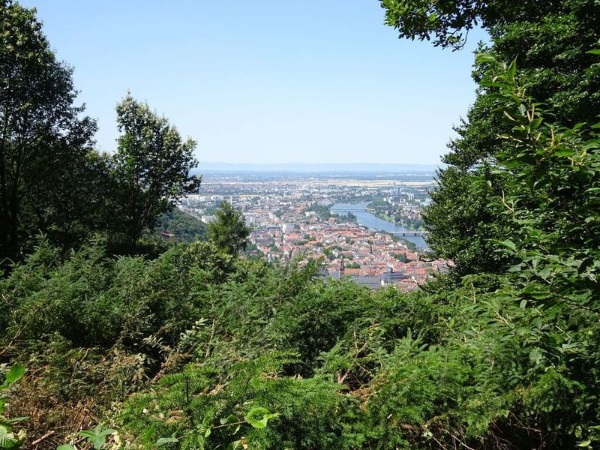 Copyright AiF Bayerische Staatsforsten Bild zum Eintrag (97743-160)
