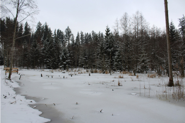 Copyright AiF Bayerische Staatsforsten Bild zum Eintrag (97995-160)
