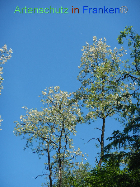 Bild zum Eintrag (100003-160)
