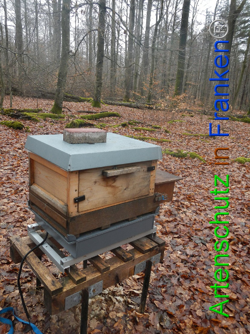 © Artenschutz in Franken® Bild zum Eintrag (1003981-160)