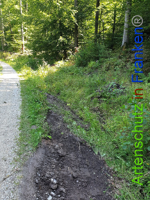 © Artenschutz in Franken® Bild zum Eintrag (1010640-160)