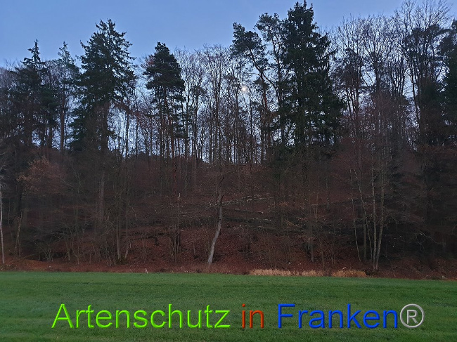 © Artenschutz in Franken® Bild zum Eintrag (1015114-160)