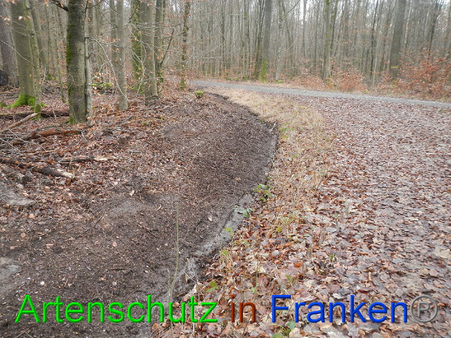 © Artenschutz in Franken® Bild zum Eintrag (1016364-160)