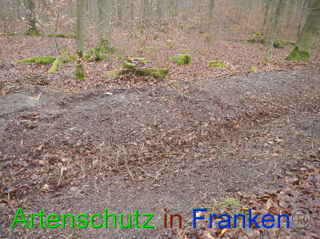 Bild zum Eintrag (1016368-160)