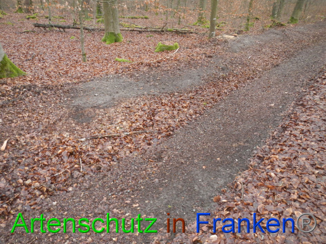 Bild zum Eintrag (1016369-160)