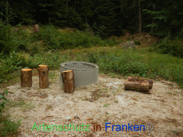 Bild zum Eintrag (101642-160)