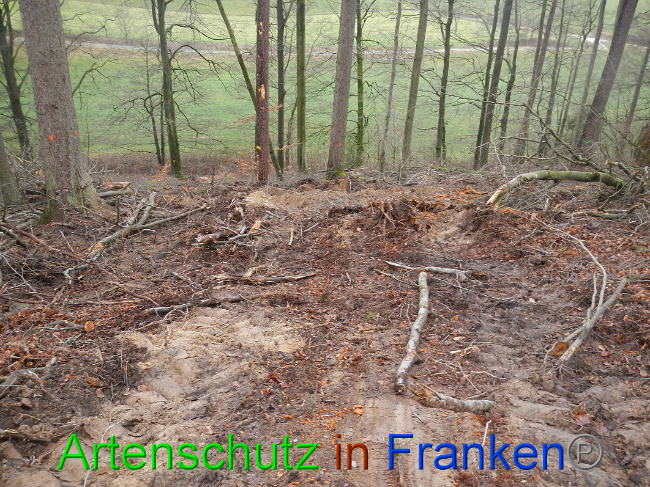 Bild zum Eintrag (1017011-160)