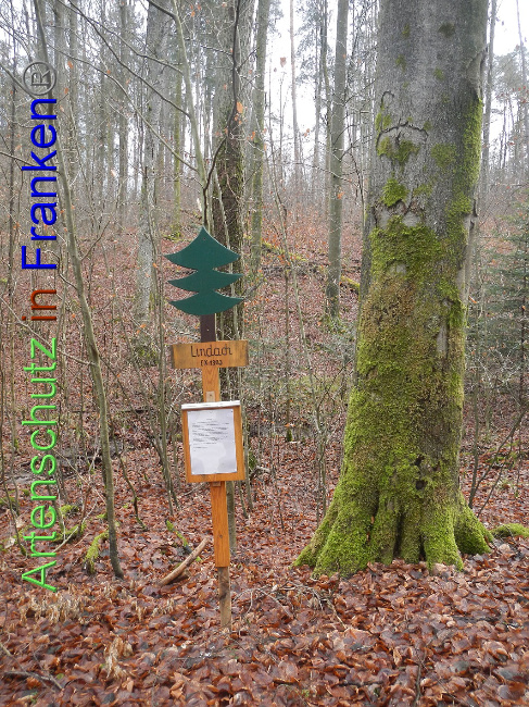 © Artenschutz in Franken® Bild zum Eintrag (1017727-160)