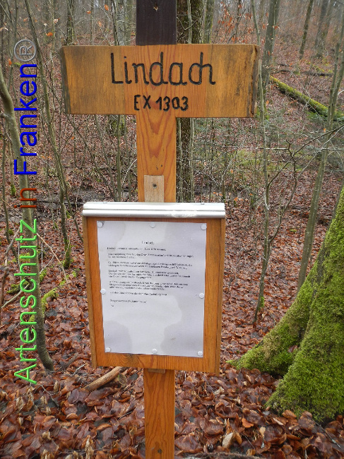 © Artenschutz in Franken® Bild zum Eintrag (1017729-160)
