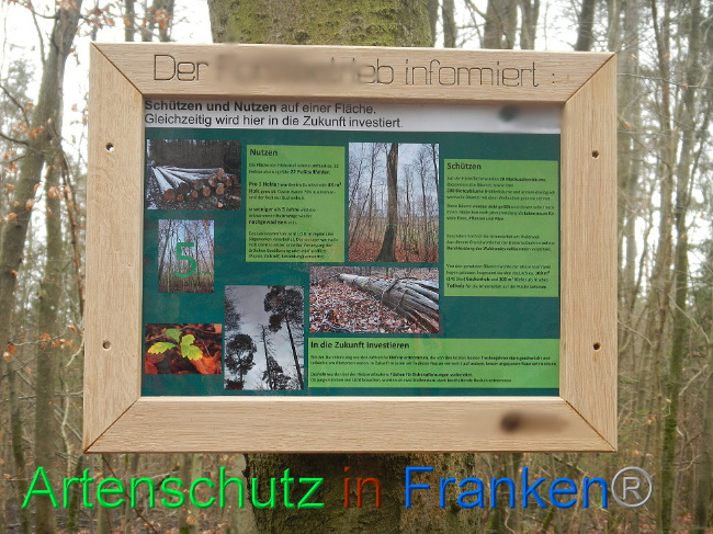 © Artenschutz in Franken® Bild zum Eintrag (1019211-160)