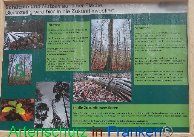 © Artenschutz in Franken® Bild zum Eintrag (1019212-160)