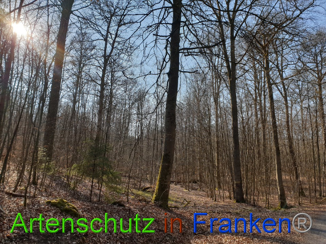 Bild zum Eintrag (1021459-160)