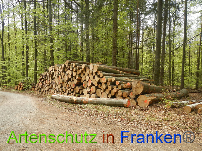 Bild zum Eintrag (1022709-160)