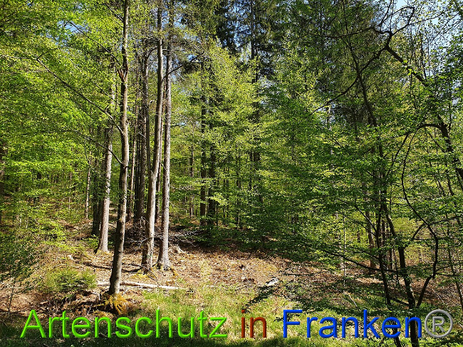 Bild zum Eintrag (1023001-160)