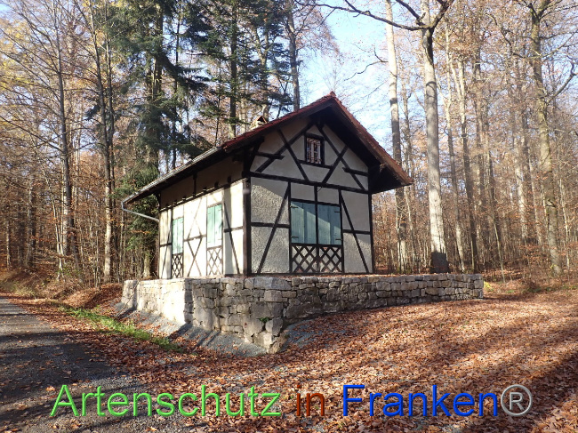 © Artenschutz in Franken® Bild zum Eintrag (1037697-160)