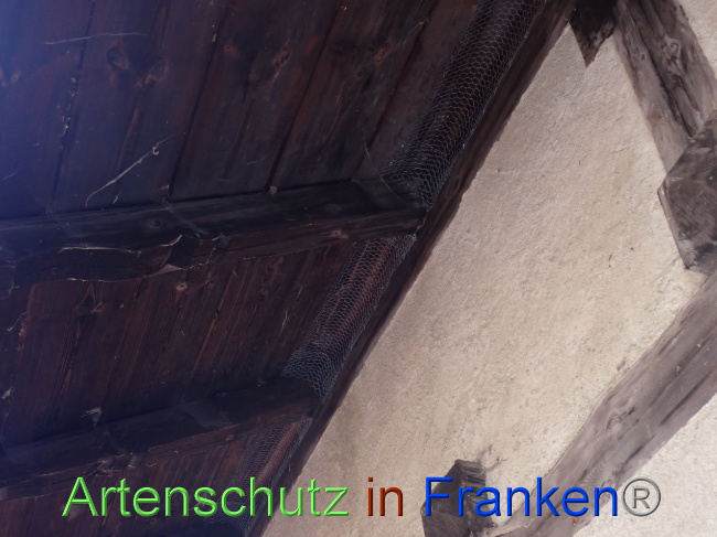 © Artenschutz in Franken® Bild zum Eintrag (1037698-160)