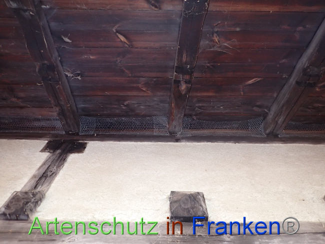 © Artenschutz in Franken® Bild zum Eintrag (1037704-160)