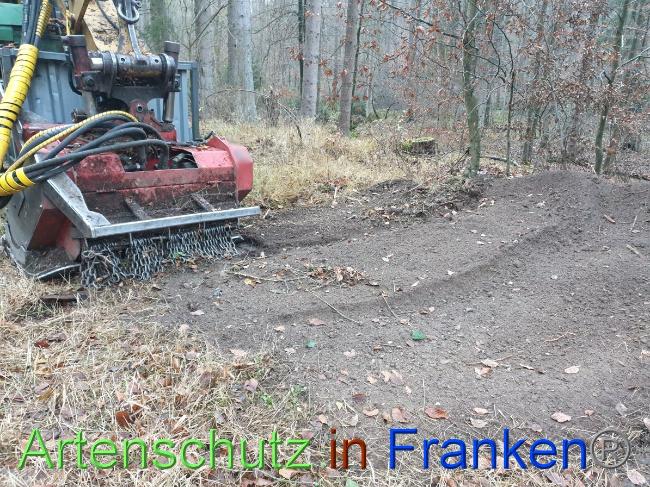 © Artenschutz in Franken® Bild zum Eintrag (1038151-160)