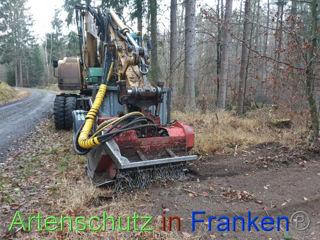 © Artenschutz in Franken® Bild zum Eintrag (1038152-160)