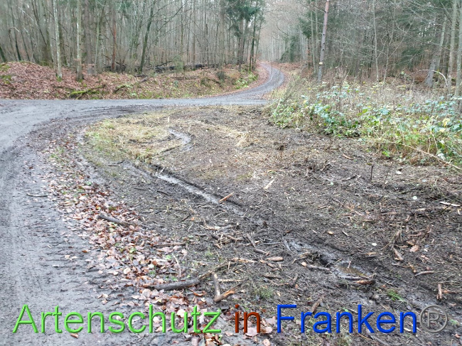 © Artenschutz in Franken® Bild zum Eintrag (1038154-160)