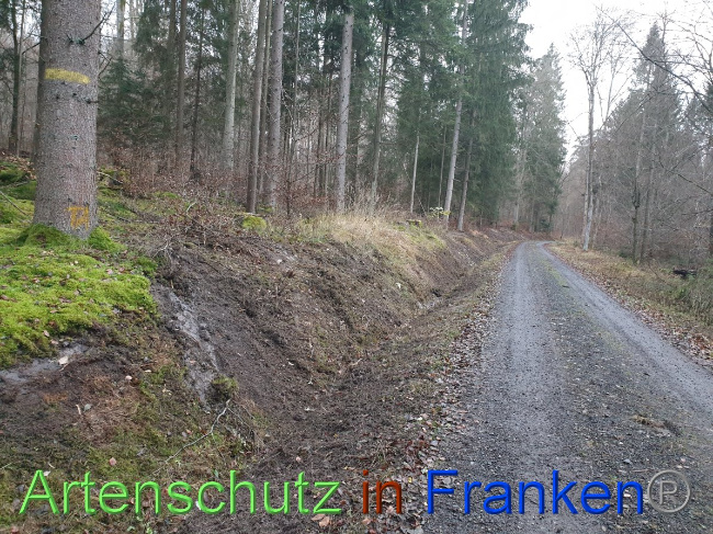 © Artenschutz in Franken® Bild zum Eintrag (1038163-160)