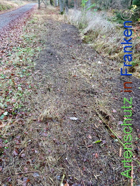 © Artenschutz in Franken® Bild zum Eintrag (1038179-160)