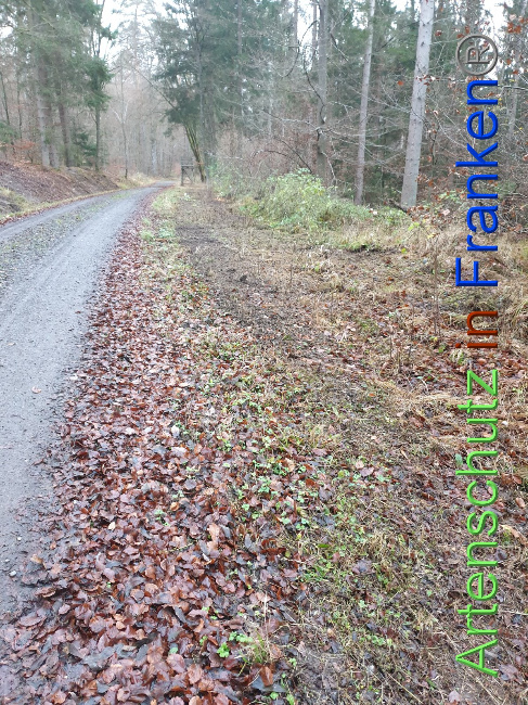 © Artenschutz in Franken® Bild zum Eintrag (1038180-160)