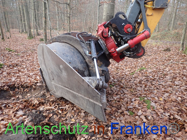 © Artenschutz in Franken® Bild zum Eintrag (1038363-160)