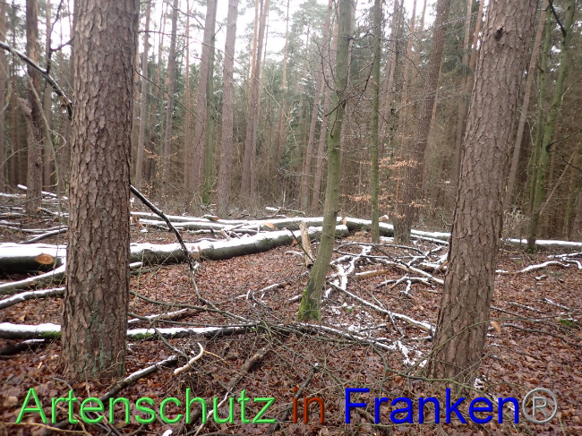 Bild zum Eintrag (1041449-160)