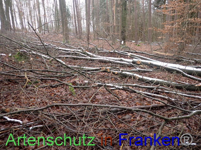 Bild zum Eintrag (1041451-160)