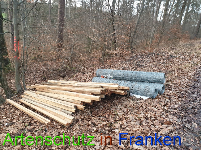 © Artenschutz in Franken® Bild zum Eintrag (1043620-160)