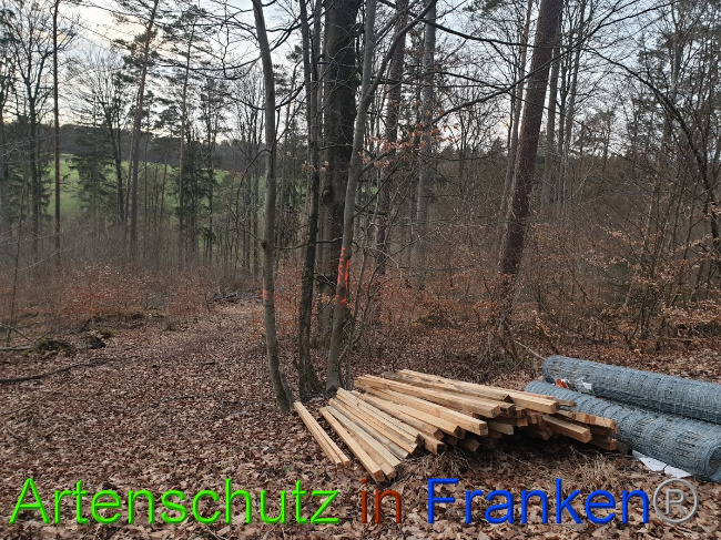 © Artenschutz in Franken® Bild zum Eintrag (1043621-160)