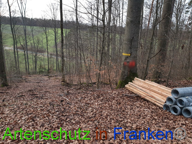 © Artenschutz in Franken® Bild zum Eintrag (1043624-160)