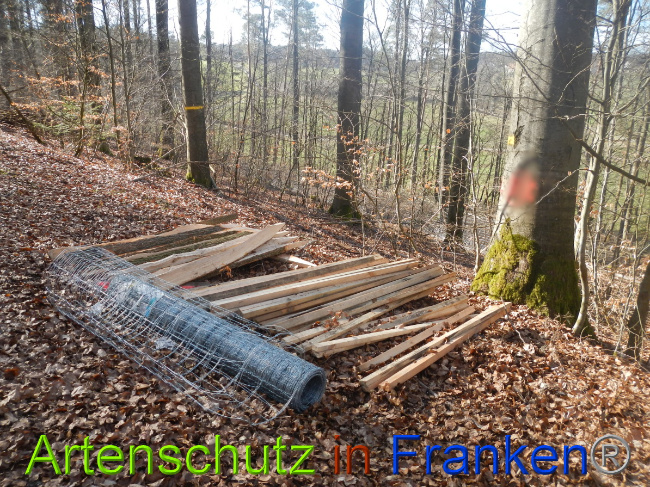 © Artenschutz in Franken® Bild zum Eintrag (1044312-160)
