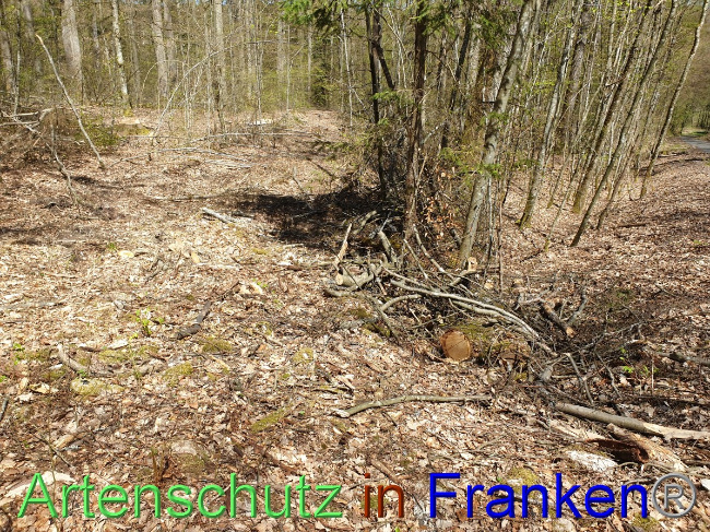 Bild zum Eintrag (1048130-160)