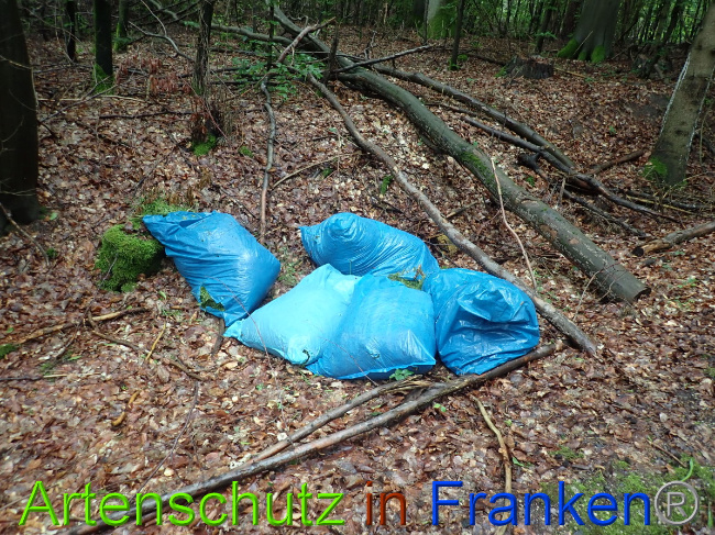 © Artenschutz in Franken® Bild zum Eintrag (1052174-160)