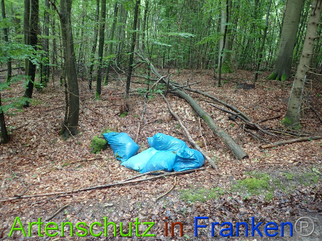 © Artenschutz in Franken® Bild zum Eintrag (1052175-160)