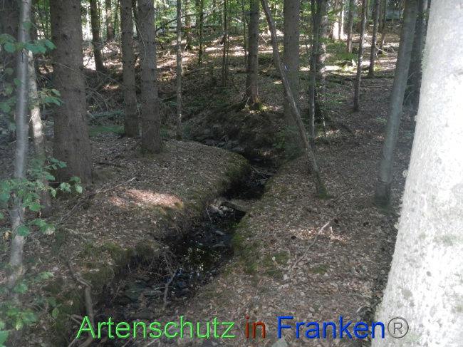 Bild zum Eintrag (1073909-160)