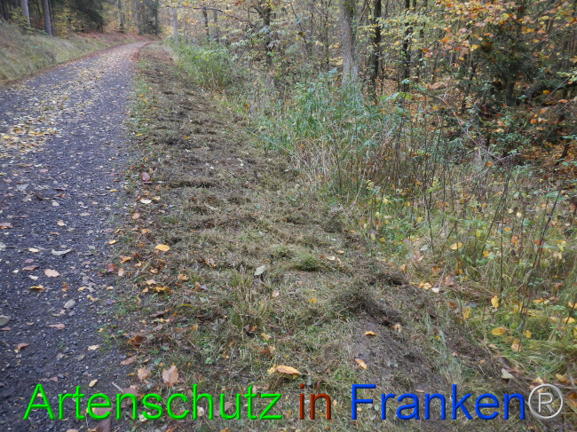 © Artenschutz in Franken® Bild zum Eintrag (1077542-160)