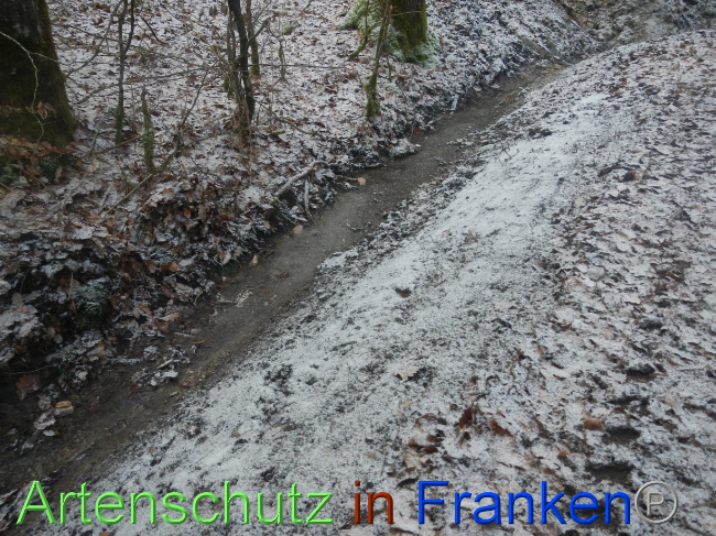 © Artenschutz in Franken® Bild zum Eintrag (1080231-160)
