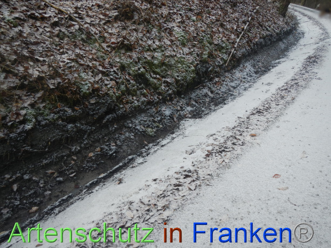 © Artenschutz in Franken® Bild zum Eintrag (1080233-160)