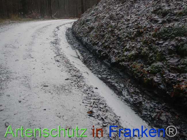 © Artenschutz in Franken® Bild zum Eintrag (1080235-160)