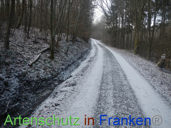 © Artenschutz in Franken® Bild zum Eintrag (1080236-160)