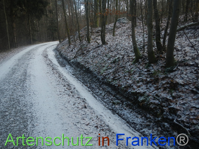 © Artenschutz in Franken® Bild zum Eintrag (1080237-160)