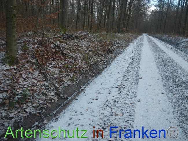 © Artenschutz in Franken® Bild zum Eintrag (1080245-160)