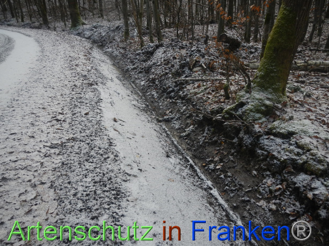 © Artenschutz in Franken® Bild zum Eintrag (1080263-160)
